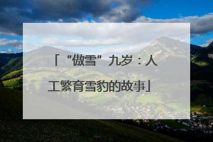 “傲雪”九岁：人工繁育雪豹的故事
